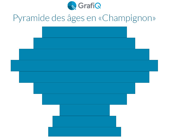 exemple de pyramide des âges d'une entreprise en forme de "Champignon"