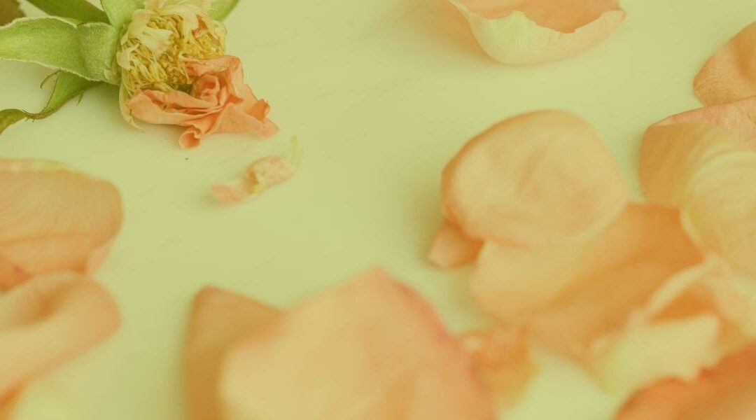 Décès d’un salarié : quelles conséquences ?