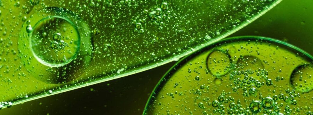 Accord de GPEC : Quel est le domaine de l’exclusion de consultation du CSE ?