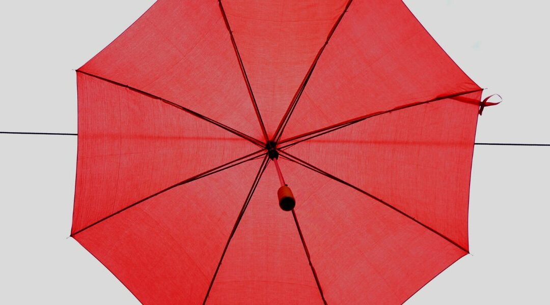 Tout savoir sur la garantie AGS : fonctionnement et utilité