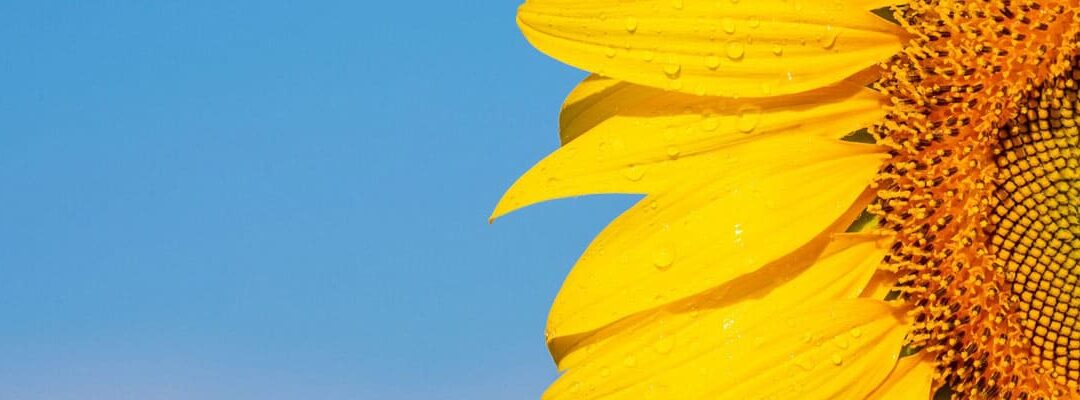 Les obligations de l’employeur face aux fortes chaleurs