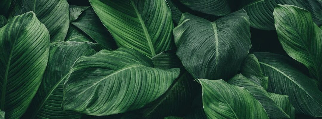 Régime social de l’indemnité de rupture conventionnelle 