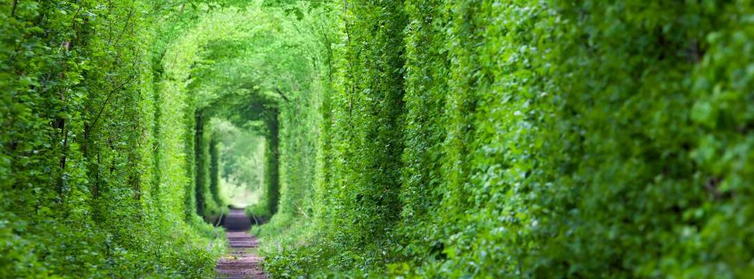 Les dernières évolutions de jurisprudence en matière d’inaptitude 