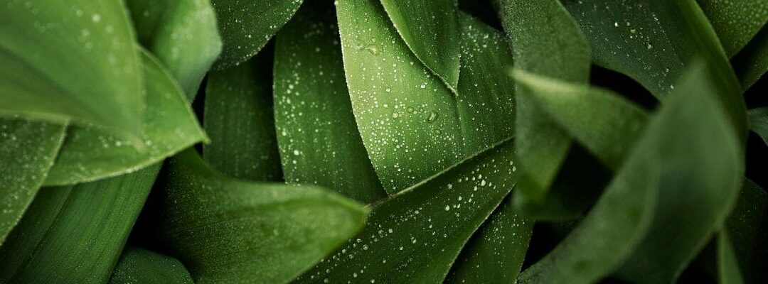 Focus sur la rémunération du salarié