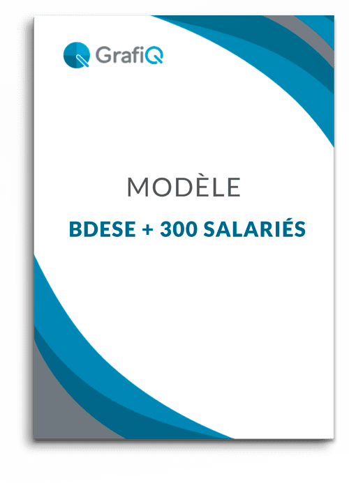 Modèle de BDESE pour entreprise à partir de 300 salariés