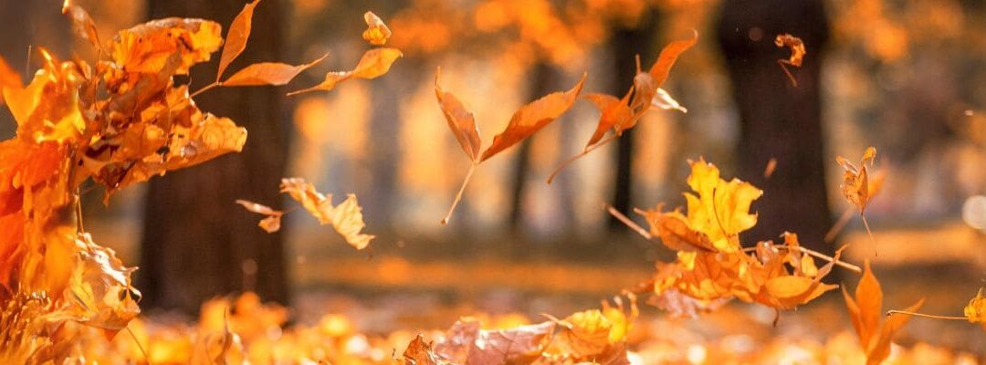 Quiet quitting au travail