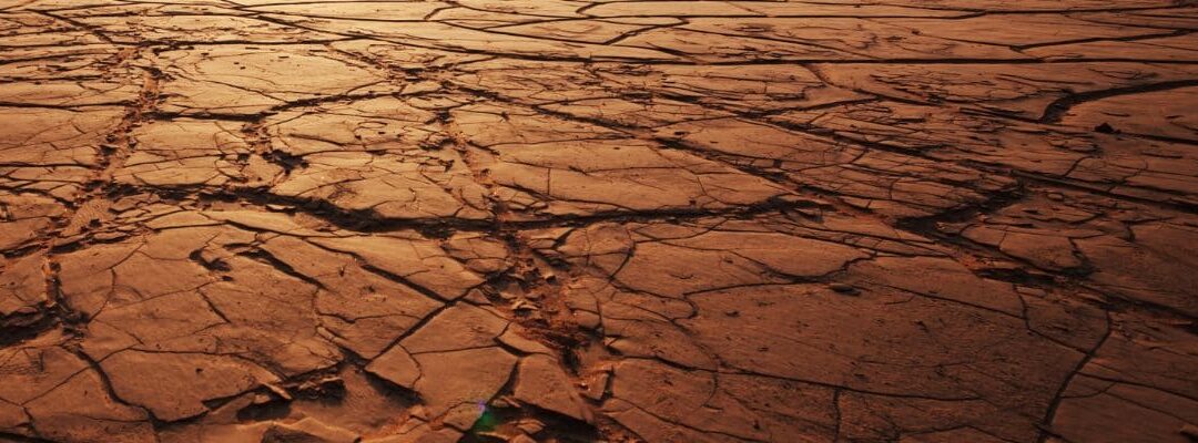 Zoom sur les critères d’ordre de licenciement économique