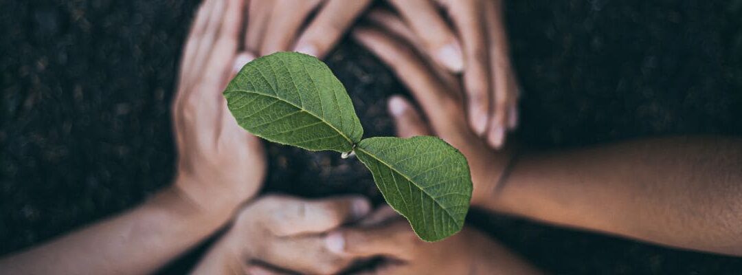 GEPP ex GPEC : nos conseils pour révolutionner vos RH