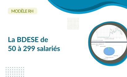 Modèle BDESE de 50 à 299 salariés - Visuel