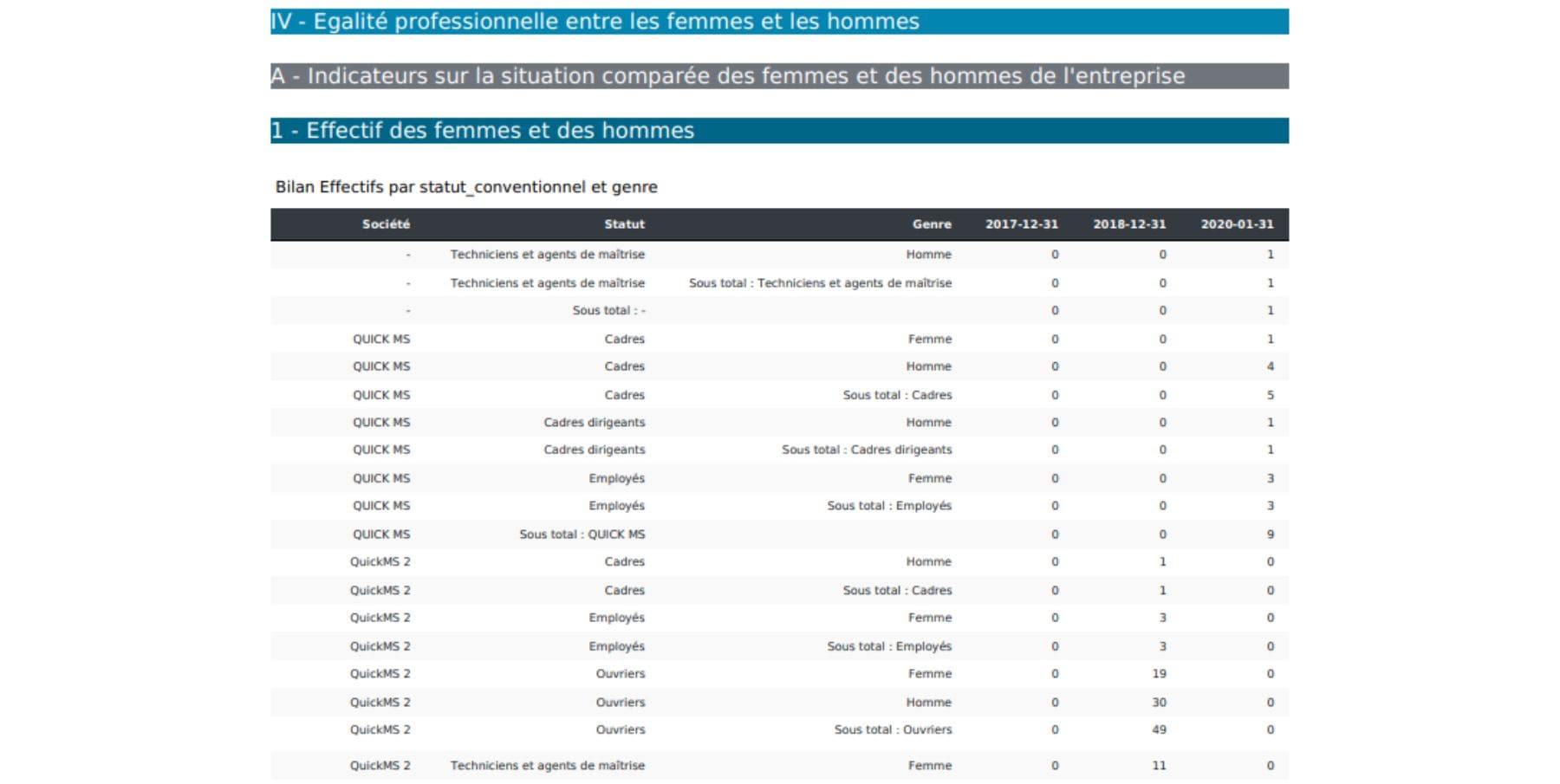 Exemple BDESE avec égalité professionnelle