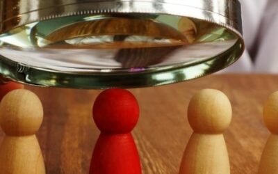 Blog RH 8 Le Bilan Social Individuel : un outil RH qui dépasse la question du salaire